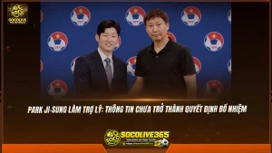 Park Ji-sung làm trợ lý: Thông tin chưa trở thành quyết định bổ nhiệm